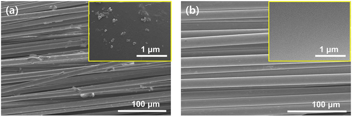 Figure 3 
                  Surface morphology of BFs and OBFs: (a) SEM images of BFs and (b) OBFs.
               