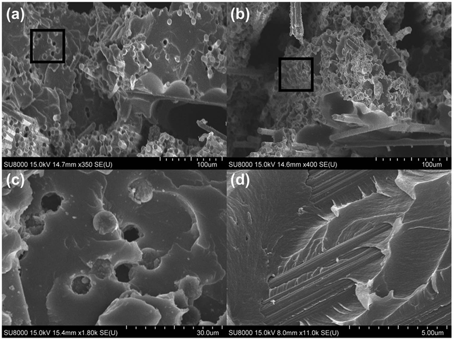 Figure 7 
                  Fracture surfaces of BFs/epoxy and OBFs/epoxy composites: (a) 60 wt% BFs/epoxy composites, (b) 60 wt% OBFs/epoxy composites, (c) and (d) the magnified fractured surface of the closed regions in (a) and (b), respectively.
               