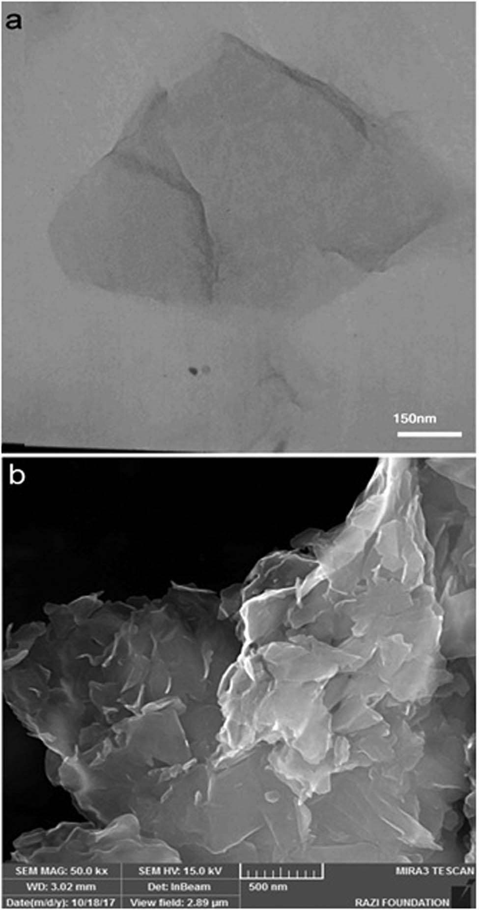 Figure 2 
                  Micro/nanostructure and morphology of the herceptin-conjugated graphene prepared by sonication process: (a) TEM and (b) FE-SEM images.
               