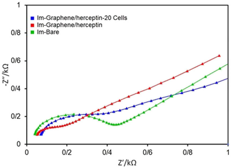 Figure 6 
                  Nyquist plots for the bare electrode (green), herceptin-conjugated graphene (red), and herceptin-conjugated graphene with 20 cells (blue), respectively. All tests were done in 0.01 M PBS (pH = 7.4) containing 5 mM K3Fe(CN)6.
               