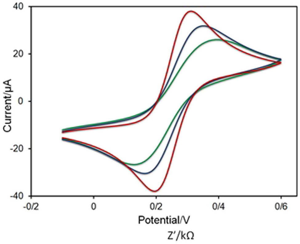 Figure 7 
                  Cyclic voltammograms (CVs) for the bare electrode (red), herceptin-conjugated graphene (blue), and herceptin-conjugated graphene with 20 cells (green), respectively. All analyses were established in 0.01 M PBS (pH 7.4) containing 5 mM K3Fe(CN)6.
               