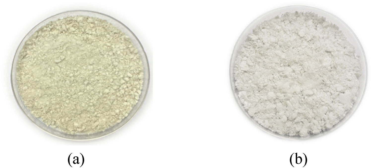 Figure 4 
                  (a) Microcrystalline cellulose (MCC) and (b) nanocrystalline cellulose (NCC) derived from pineapple leaves.
               