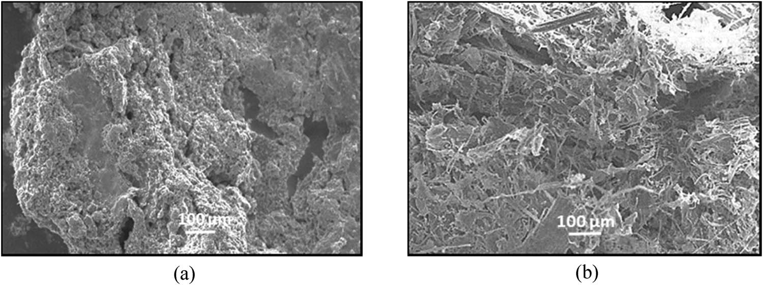 Figure 7 
                  SEM micrograph of (a) MCC and (b) NCC samples isolated from pineapple leaves.
               