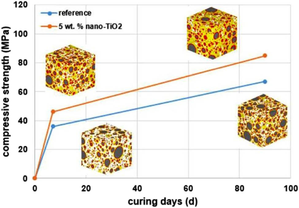 Figure 5 
                  Simulated microstructure of NT-modified GPC at different maintenance ages [26].
               