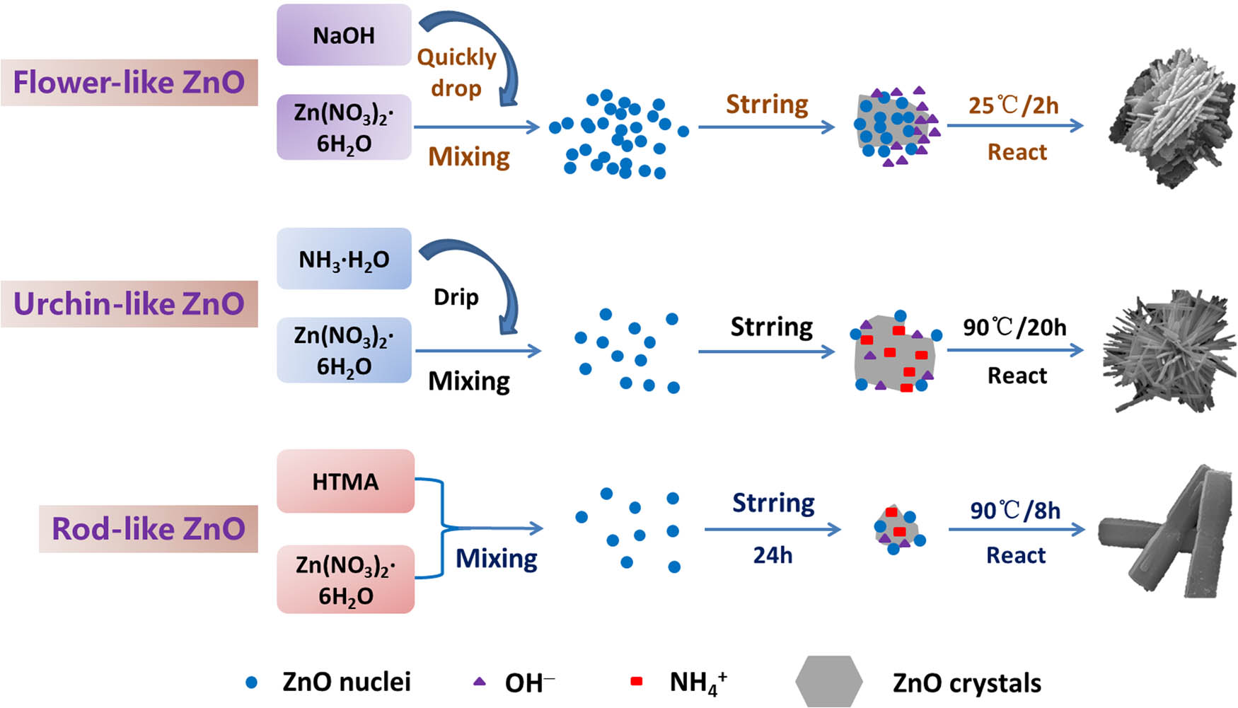 Figure 2 
                  Preparation flow chart of ZnO with different morphologies.
               