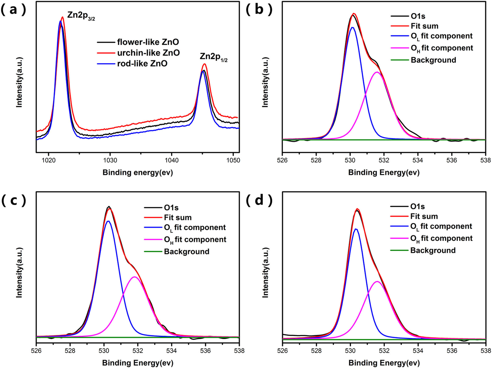 Figure 8 
                  XPS analysis of samples showing (a) Zn 2p, (b–d) O 1s spectra of flower-like ZnO, urchin-like ZnO, and rod-like ZnO.
               