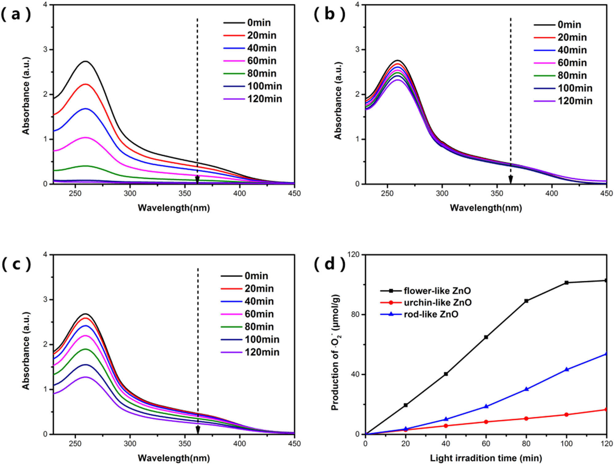 Figure 10 
                  UV-Vis absorption spectra of NBT degraded by ZnO with three morphologies of (a–c) flower-like ZnO, urchin-like ZnO, and rod-like ZnO, and (d) the yield of ˙
                        
                           
                           
                              
                                 
                                    O
                                 
                                 
                                    2
                                 
                                 
                                    −
                                 
                              
                           
                           {\text{O}}_{2}^{-}
                        
                      in ZnO suspension under simulated sunlight with time.
               