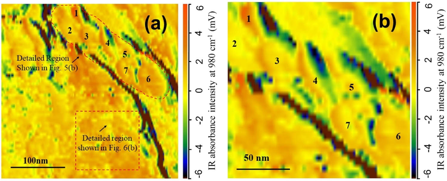Figure 7 
                  AFM-IR mapping results for the region shown in Figure 3: (a) entire region; (b) magnified region associated with C–S–H gel particles numbered 1–6.
               