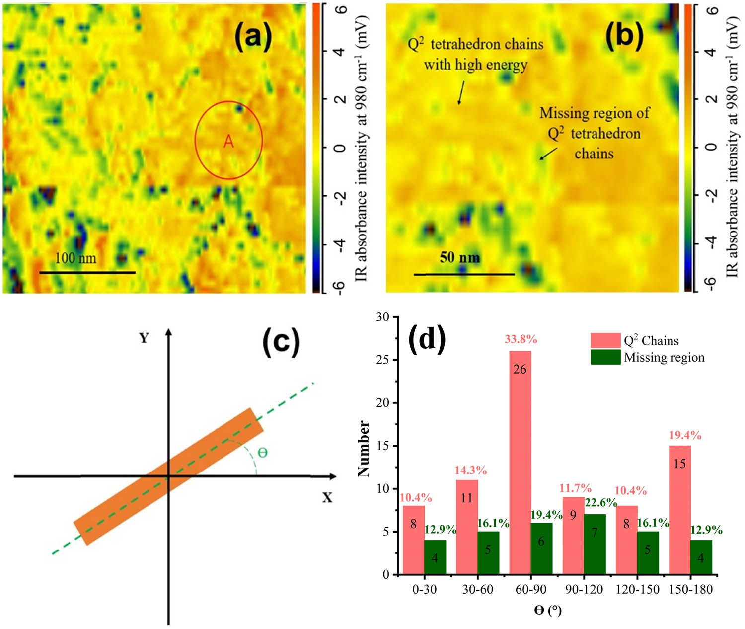 Figure 8 
                  AFM-IR mapping results for a separate region near that shown in Figure 5(a): (a) entire region; (b) magnified region associated with the region marked in Figure 5(a) (c) Illustration of the orientation of connective and the missing region of Q2 chains based on an angle Ɵ in the range of 0–180°; (d) Distributions of connective and the missing region of Q2 chain orientations in Figure 6(a).
               