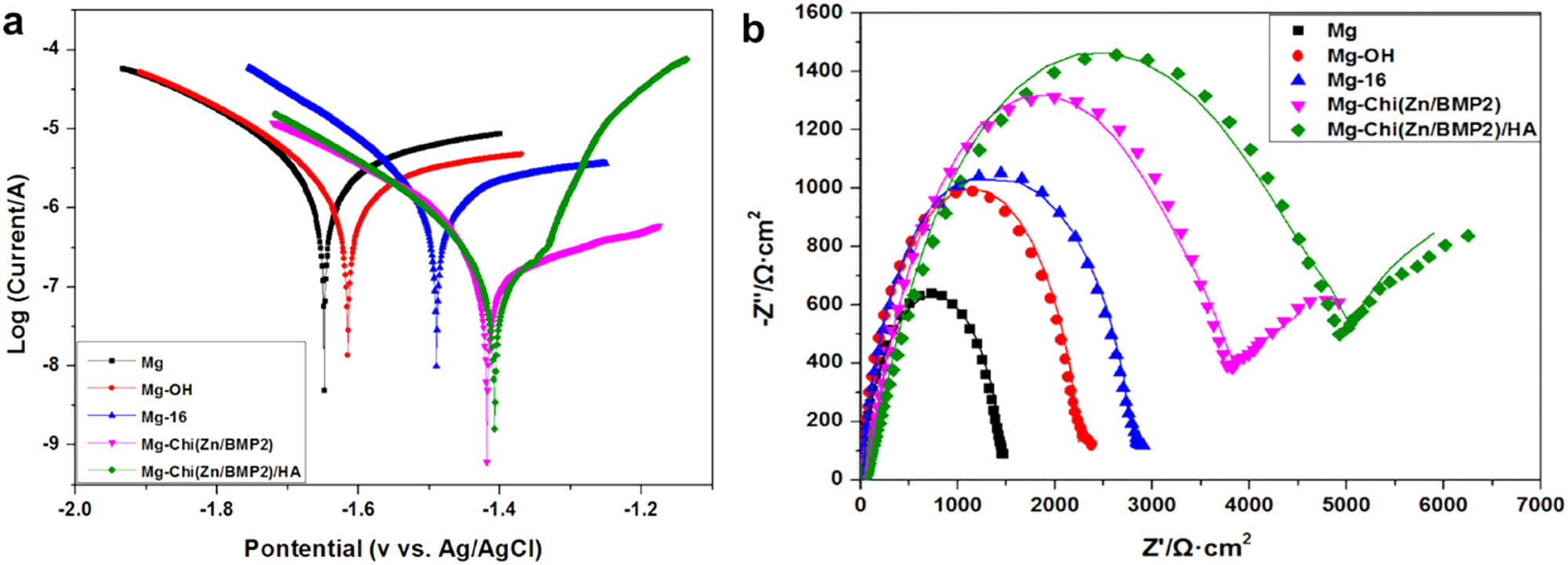 Figure 3 
                  The electrochemical polarization curves and electrochemical impedance spectra (EIS) of the different samples.
               