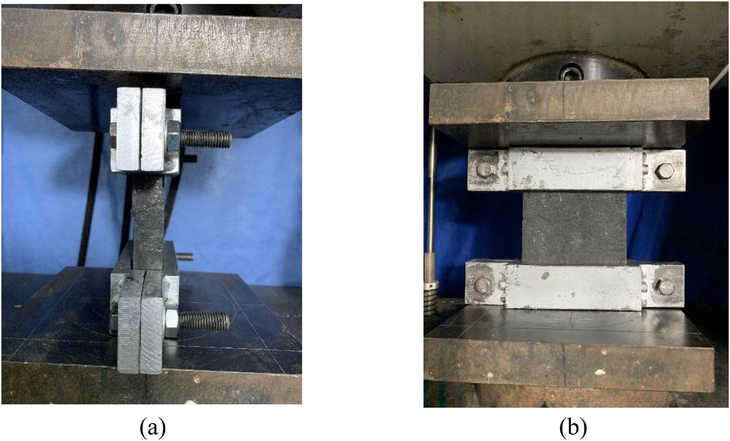 Figure 3
Test setup of edgewise compression: (a) side view and (b) front view.