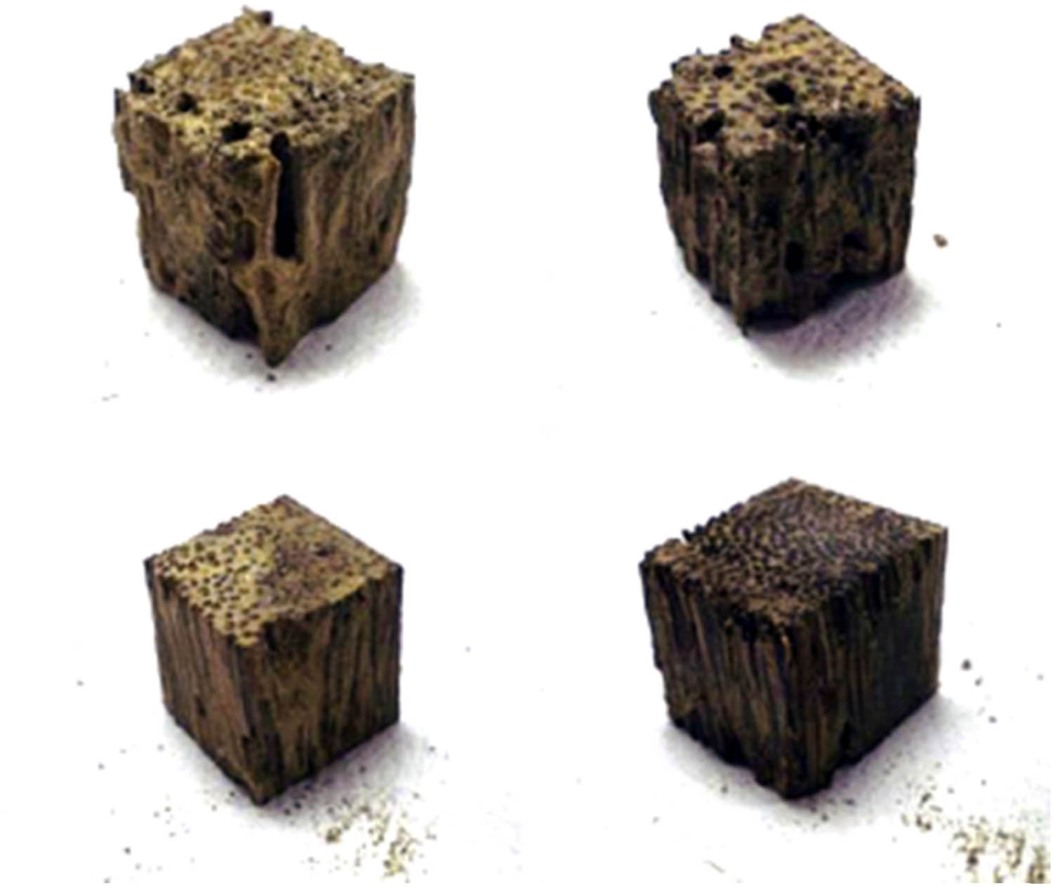 Figure 8 
                  OPW after cleaning at the end of the termite test. Top left: untreated OPW; top right: treated OPWD-0%; bottom left: treated OPWD-25%; and bottom right: treated OPWD-50% [76].
               