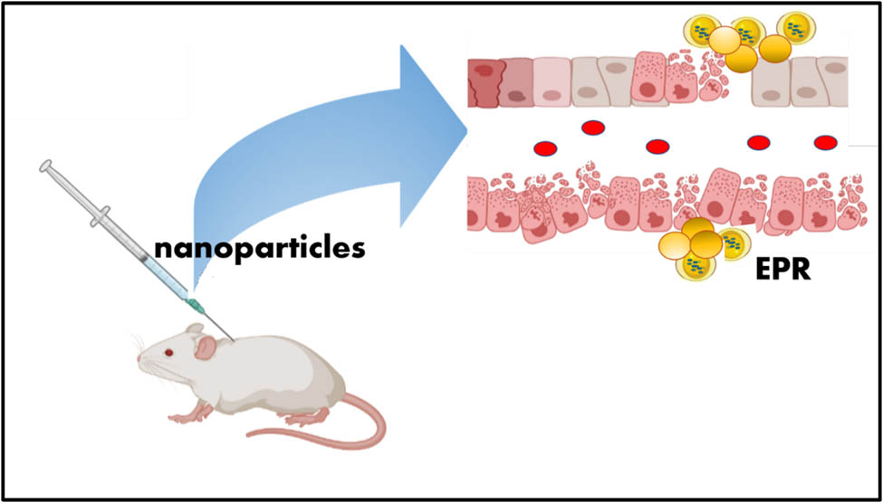 Figure 1 
               Schematic sketch of EPR.
            