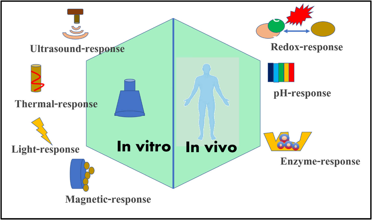 Figure 2 
               Schematic sketches of different types of stimuli for cancer therapeutics.
            