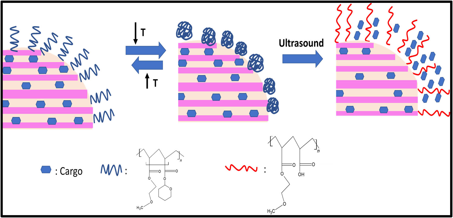Figure 7 
                     Schematic illustration of Ultrasound responsive systems.
                  