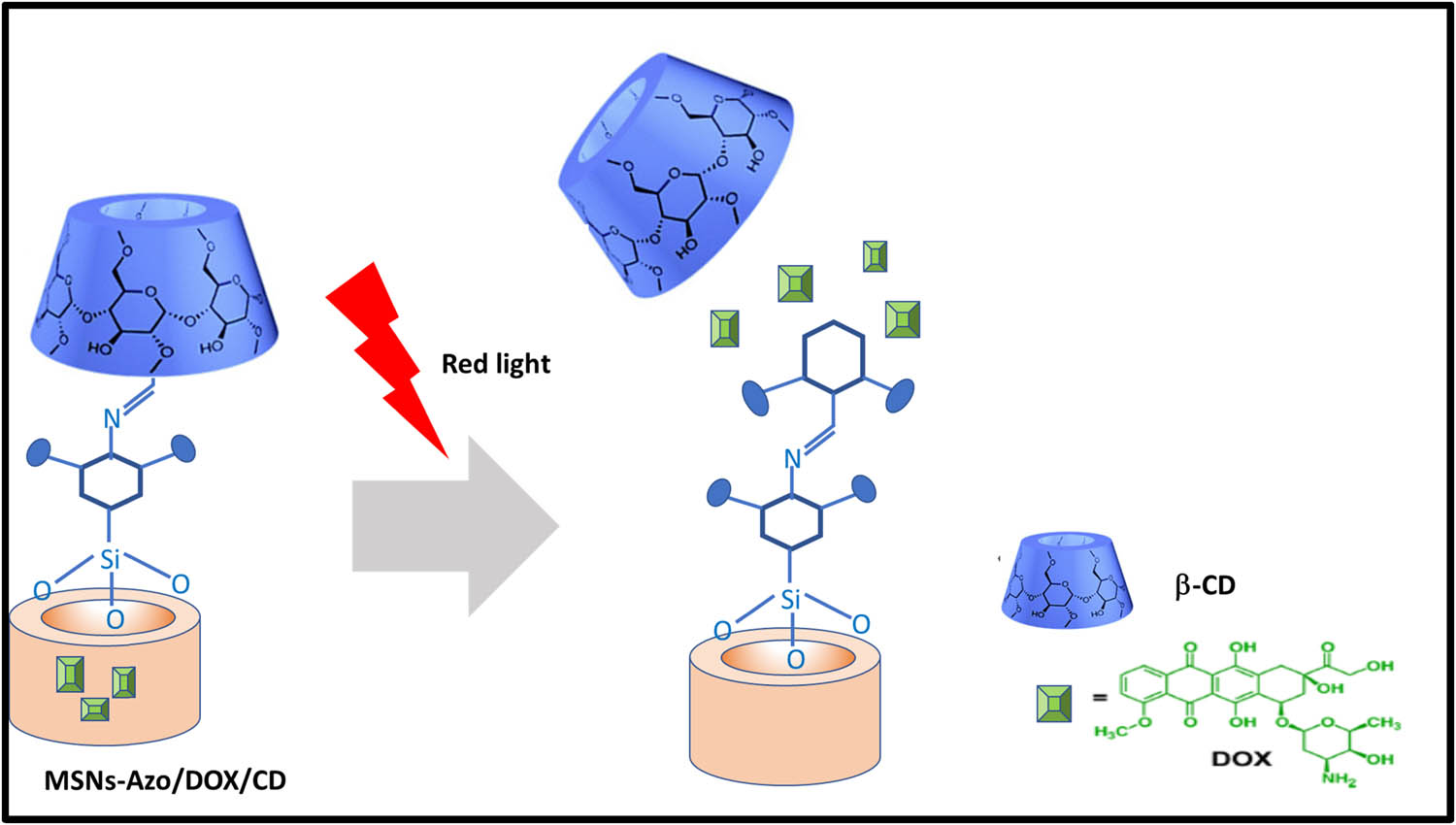 Figure 9 
                     Schematic representation of light-responsive systems.
                  