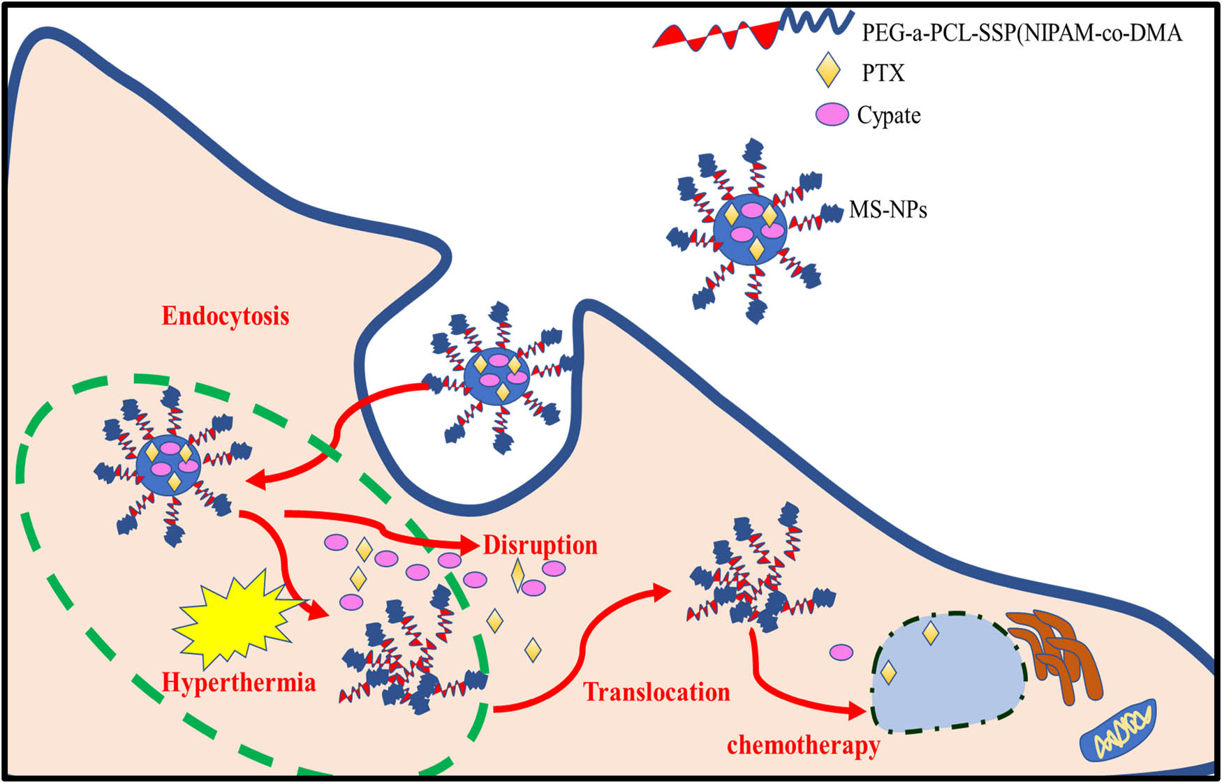 Figure 10 
                  Schematic illustration of multiple stimuli-responsive systems.
               