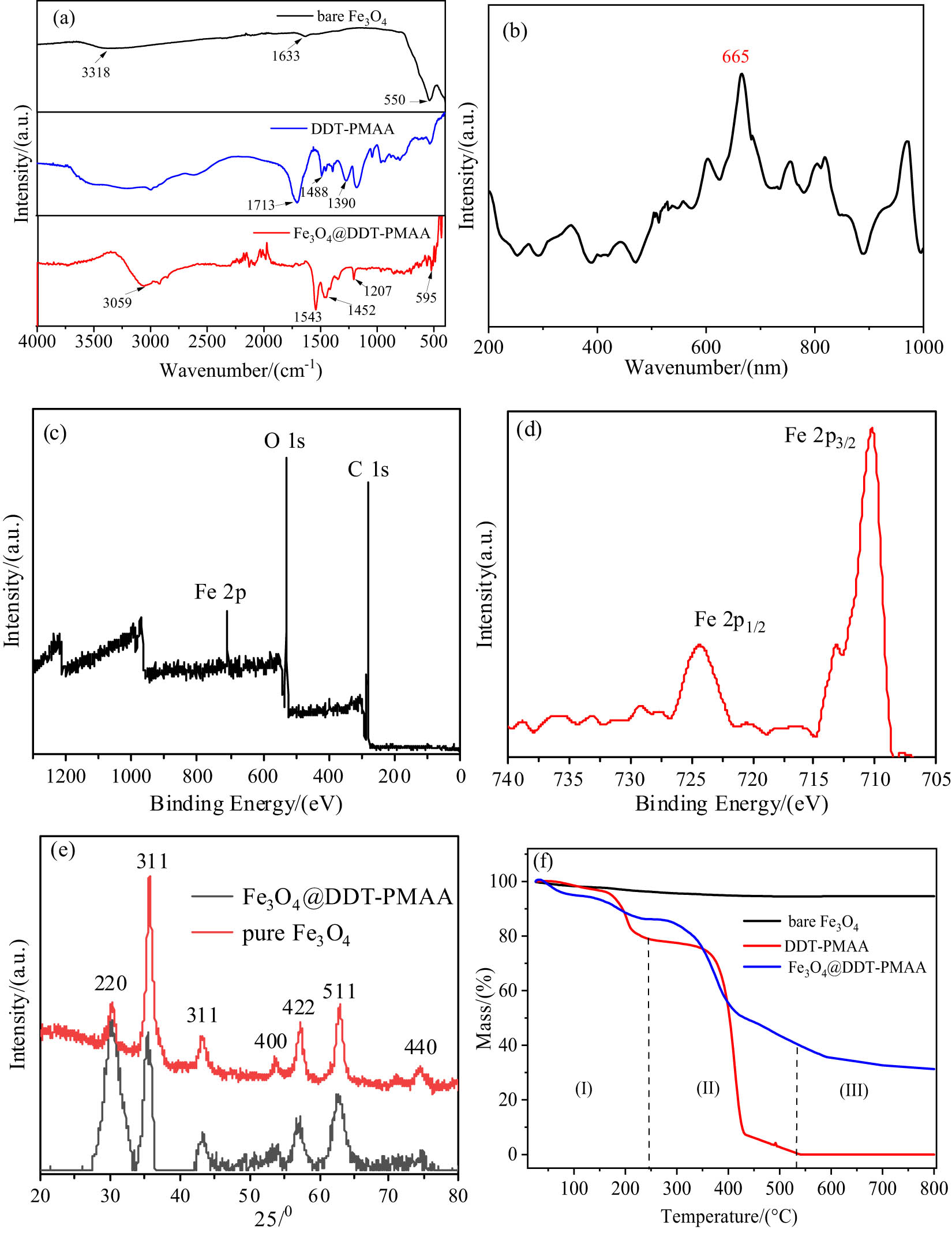 Figure 3 
                  Different characterizations for Fe3O4@DDT-PMAA MFs, (a) FTIR spectra of bare Fe3O4, DDT-PMAA, and Fe3O4@DDT-PMAA; (b) Raman spectra of Fe3O4@DDT-PMAA NPs under N2 protection; (c and d) XPS survey spectrum of Fe3O4@DDT-PMAA; (e) TGA curves of DDT-PMAA, bare Fe3O4, and Fe3O4@DDT-PMAA magnetic NPs under N2 protection; and (f) XRD for bare Fe3O4 and Fe3O4@DDT-PMAA.
               