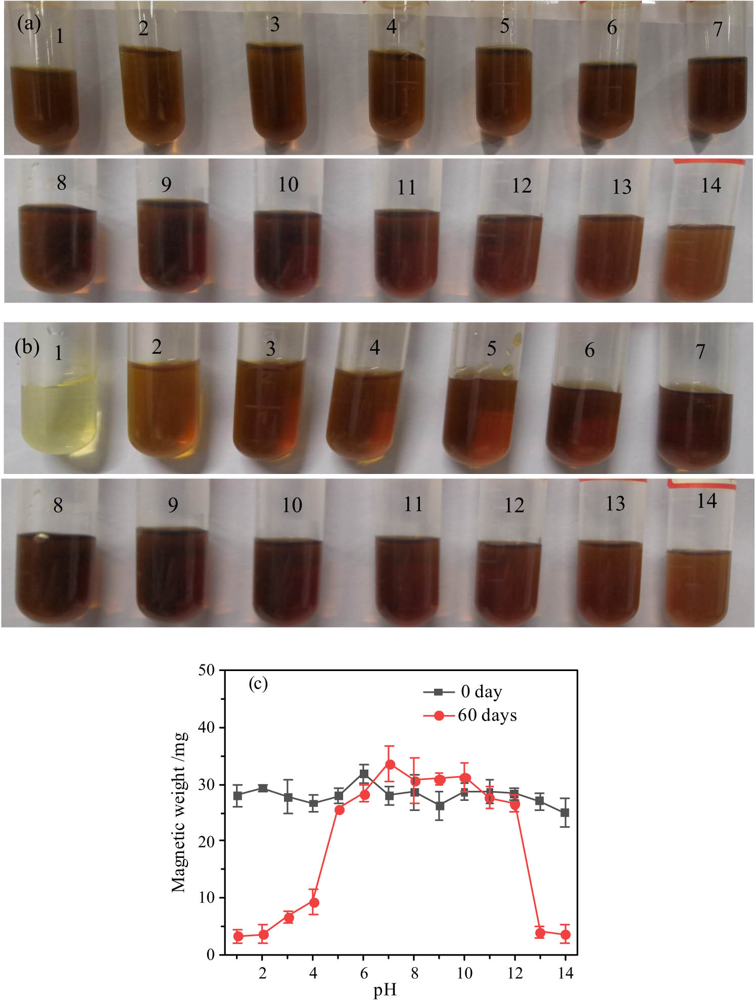 Figure 5 
                     Stability change in Fe3O4@DDT-PMAA MF in different pH environments for different time, (a) photos for 0 day; (b) photos for 60 days; and (c) magnetic gain in 60 days with 40 mT.
                  