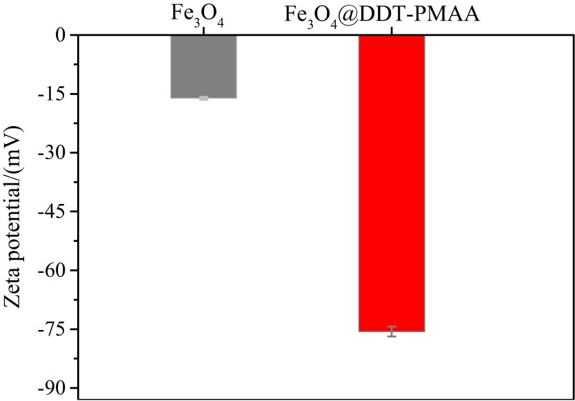 Figure 6 
                     Zeta potential of uncoated and Fe3O4@DDT-PMAA magnetic NPs in water (pH = 7).
                  