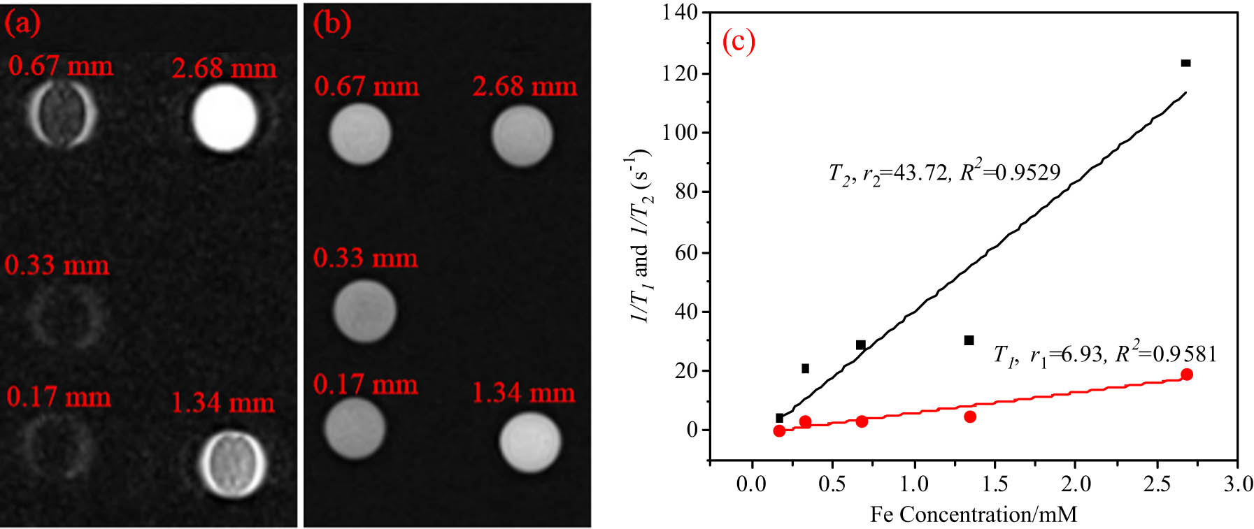 Figure 7 
                     
                        T
                        1 and T
                        2 mapping images of different concentrations of Fe3O4@DDT-PMAA MF in vitro, (a) T
                        1 mapping images, (b) T
                        2 mapping images, and (c) T
                        1 longitudinal and T
                        2 transverse relaxivity with different Fe concentrations.
                  