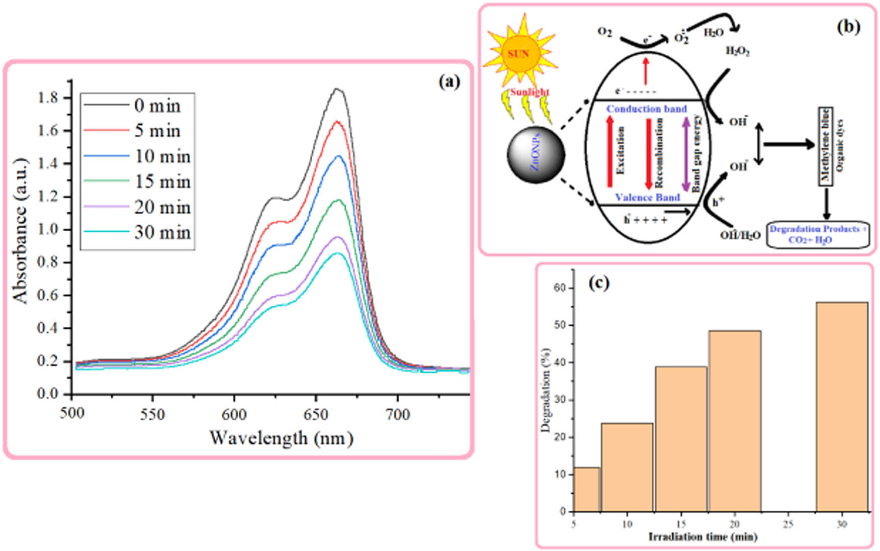 Figure 8
(a) Photocatalytic degradation of methylene blue using biogenic ZnO NPs, (b) photo trigger mechanism of ZnO NPs in dye degradation in direct sunlight and (c) degradation efficiency.