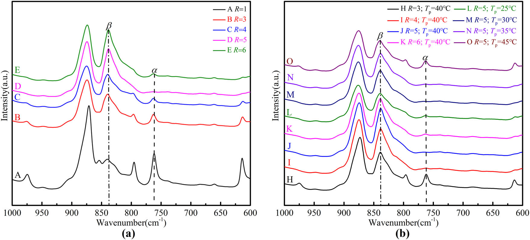 Figure 5 
                  FTIR spectra of PVDF-HFP films: (a) stretched PVDF-HFP films at various elongation ratios. (b) Stretched and poled PVDF-HFP films at various elongation ratios (T
                     p = 40°C) or various poling temperatures (R = 5).
               