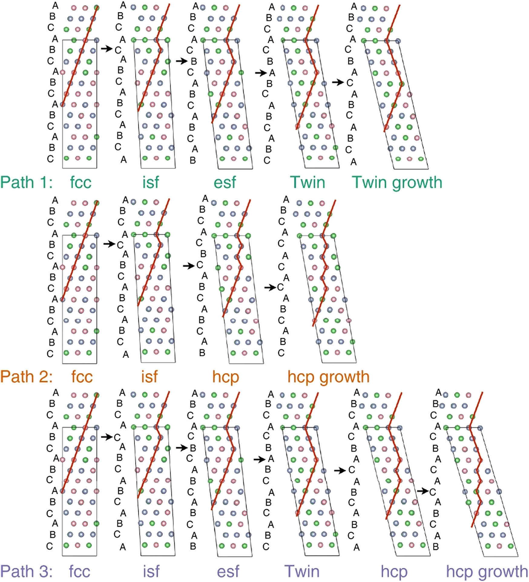 Figure 6 
                  Schematic diagram of HCP phase formation paths [25].
               