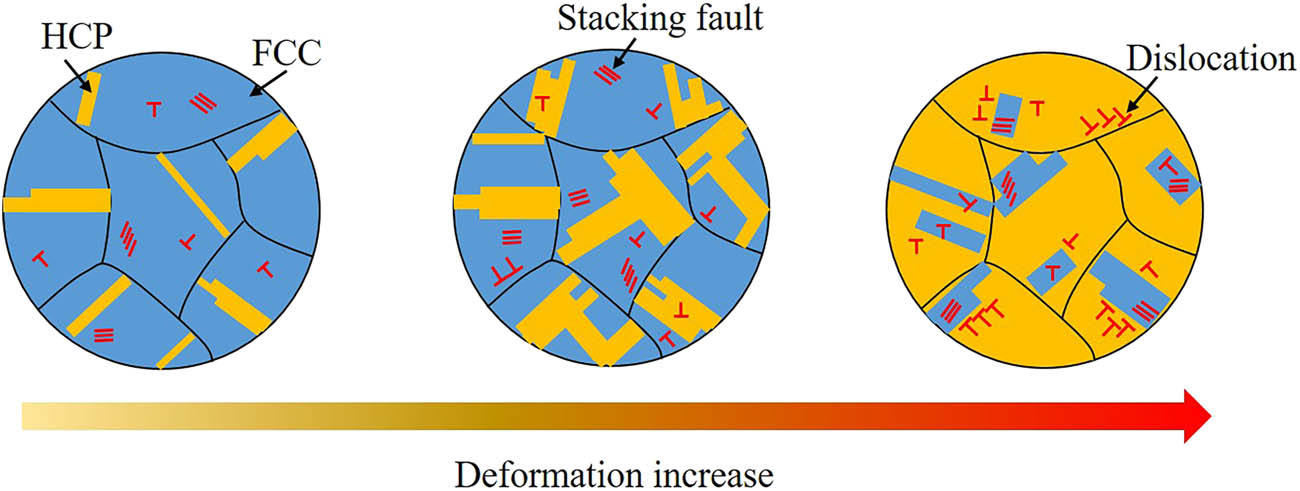 Figure 9 
                  Schematic diagram of phase transition of the TRIP-DP-HEA.
               