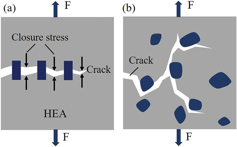 Figure 11 
                  Schematic diagram of (a) crack bridging and (b) crack deflection mechanisms.
               