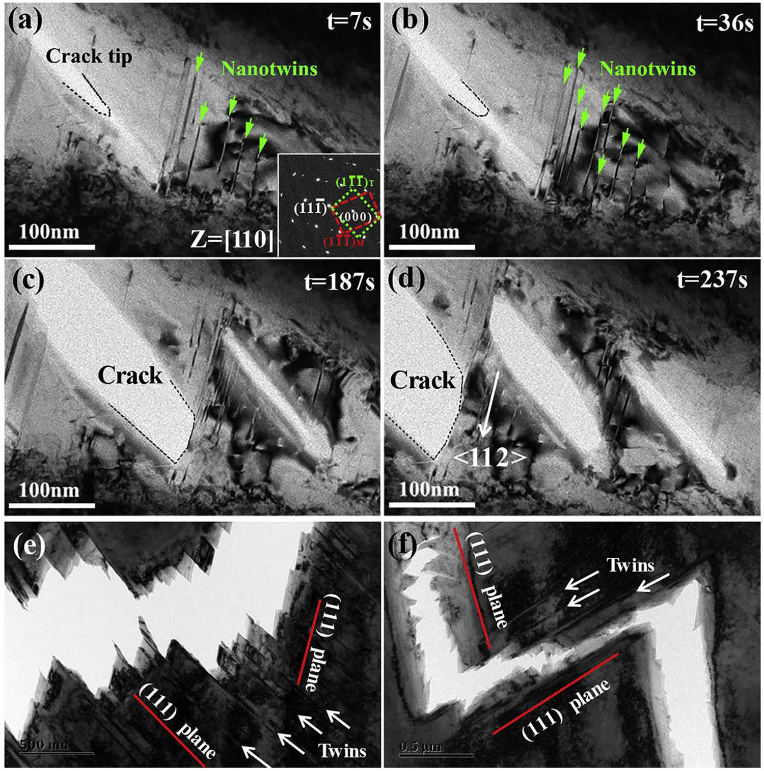 Figure 12 
                  
                     In situ TEM images of the area around a crack tip of the Cr26Mn20Fe20Co20Ni14 during the tensile test, (a and b) at the initial steps, nano-twins were visible, (c and d) as the tensile process continues, bridging deflection and blunting occurred, (e and f) at the post-deformation, a crack appeared jagged [126].
               