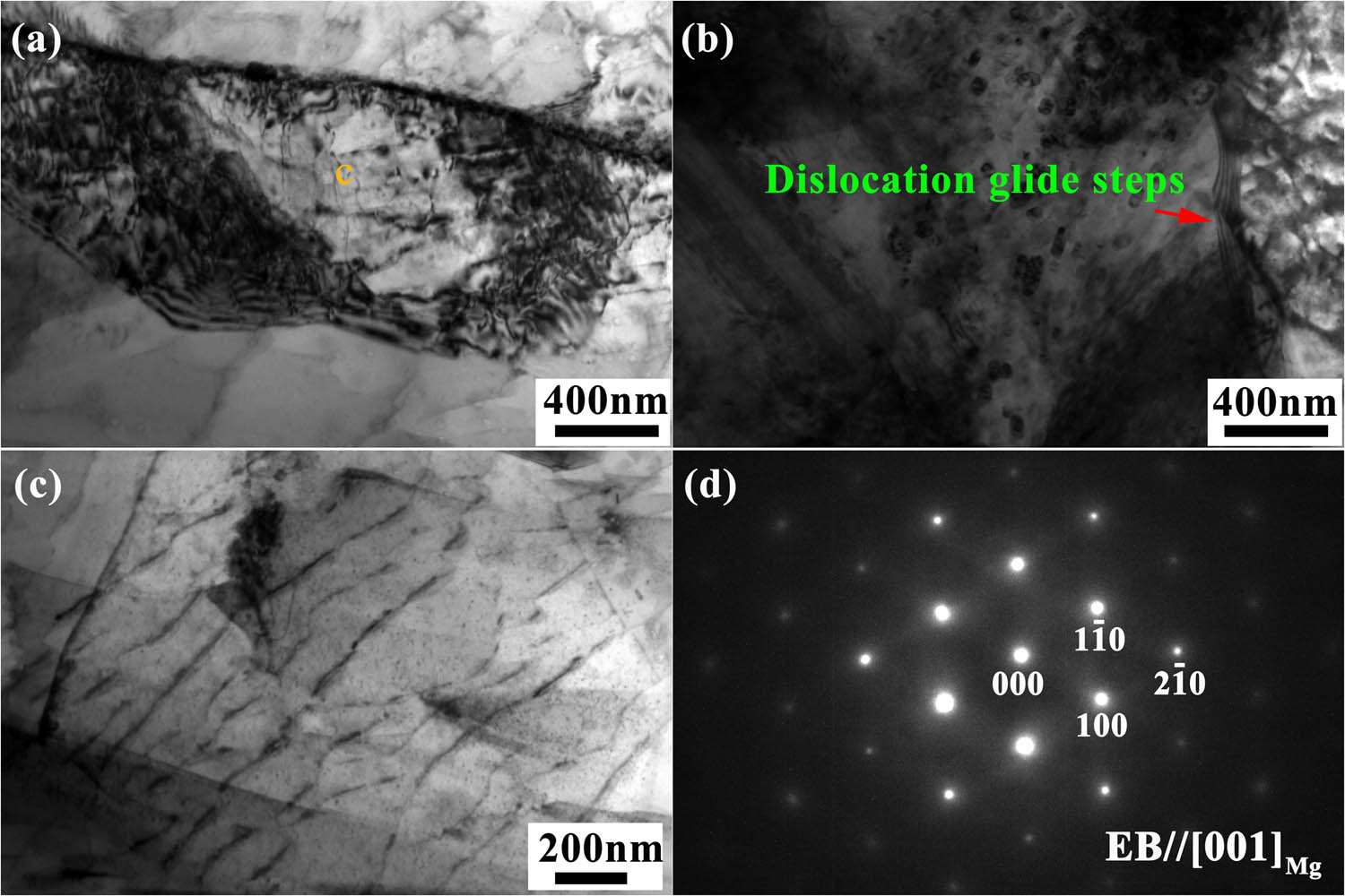 Figure 7 
                  TEM images of the (a) dislocation cell and (b) dislocation glide steps in Mg sample. (c) A magnification view of the microstructure of the dislocation cell labeled with orange c in (a). (d) The corresponding diffraction pattern in (c).
               