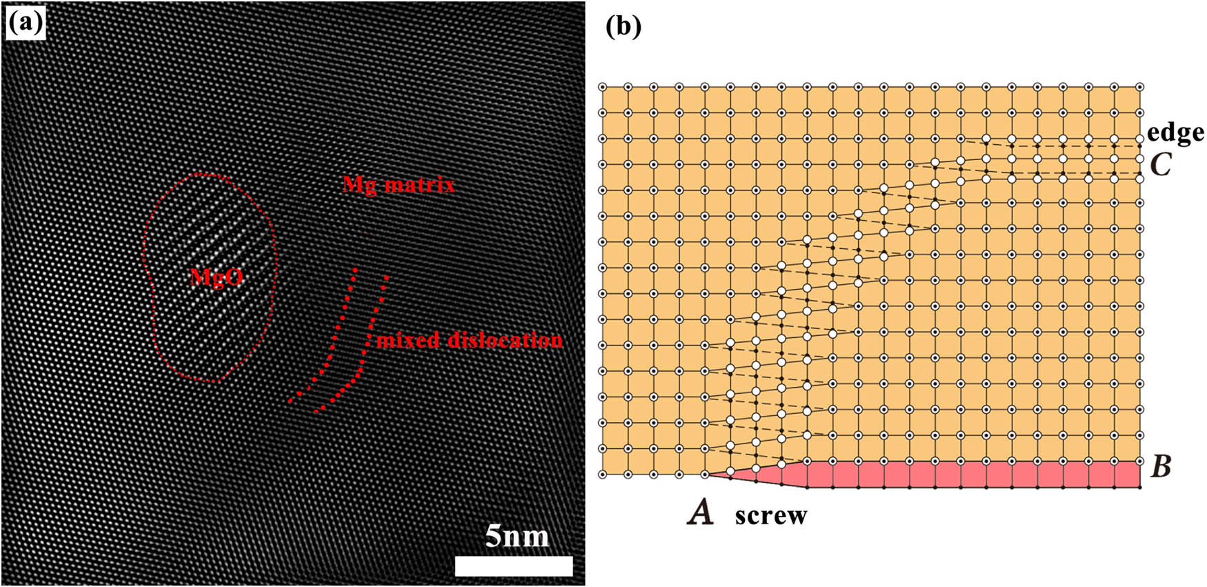 Figure 8 
                  The interaction between dislocations and MgO particle. (a) A high resolution TEM IFFT image of mixed dislocation near MgO particle and (b) a atomic model of mixed dislocation.
               