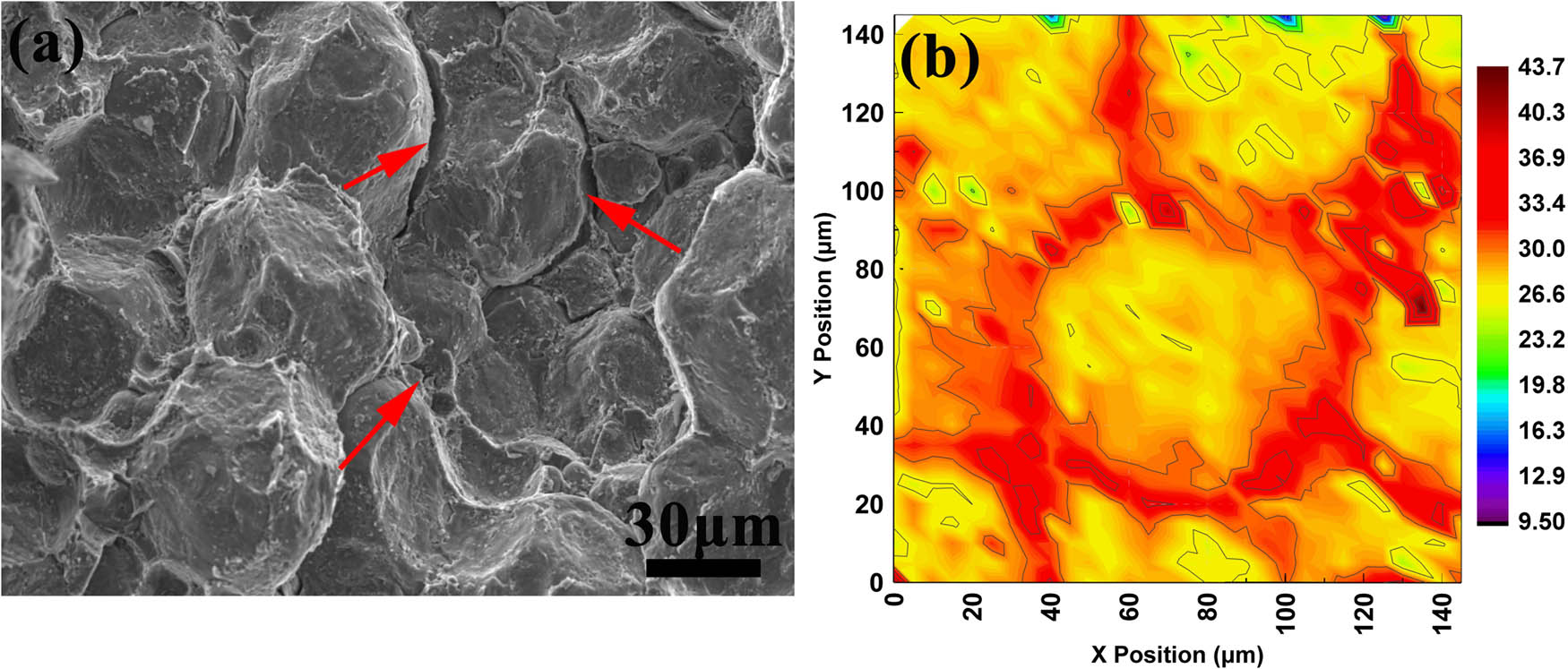 Figure 9 
                  (a) Fracture morphology after tensile testing at room temperature and (b) the contour map of elastic modulus indicating that cracks originate at grain boundaries with higher elastic modulus marked with red arrows.
               