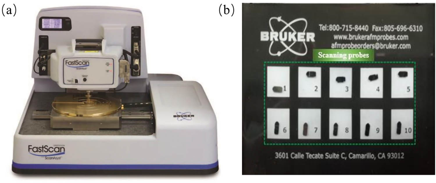 Figure 2 
                     AFM testing equipment: (a) AFM instrument and (b) scanning probes.
                  