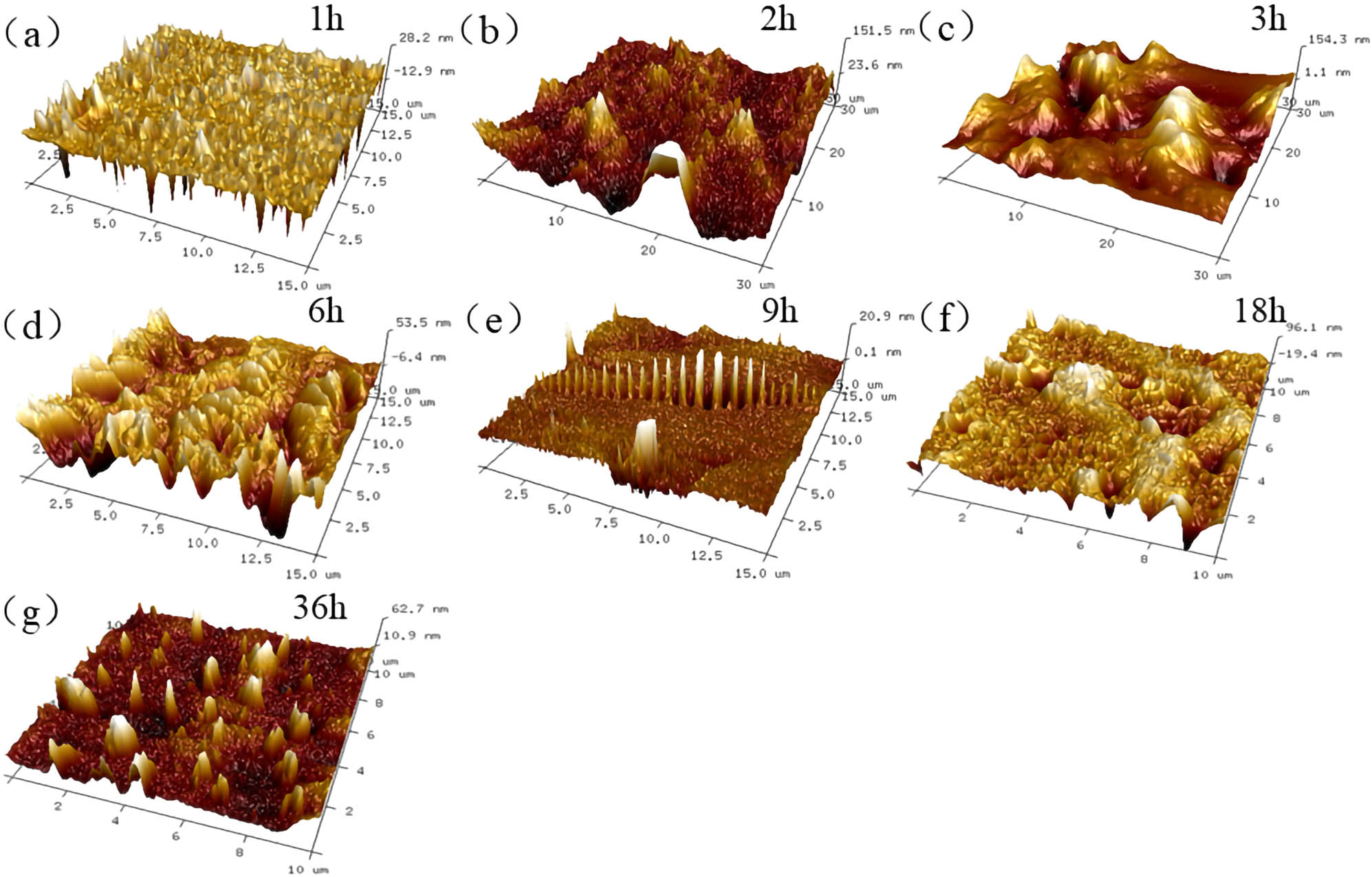 Figure 20 
                     10 μm × 10 μm 3D reconstructed results of T770-modified asphalt: (a) 1 h; (b) 2 h; (c) 3 h; (d) 6 h; (e) 9 h; (f) 18 h; and (g) 36 h.
                  