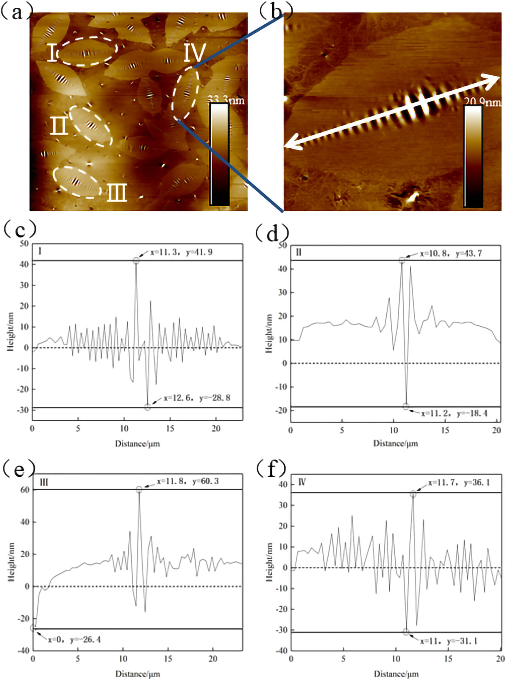 Figure 23 
                     Morphology and roughness analysis results of bee structure: (a) scanning zone; (b) selected bee structure; (c) bee structure I; (d) bee structure II; (e) bee structure III; and (f) bee structure IV.
                  