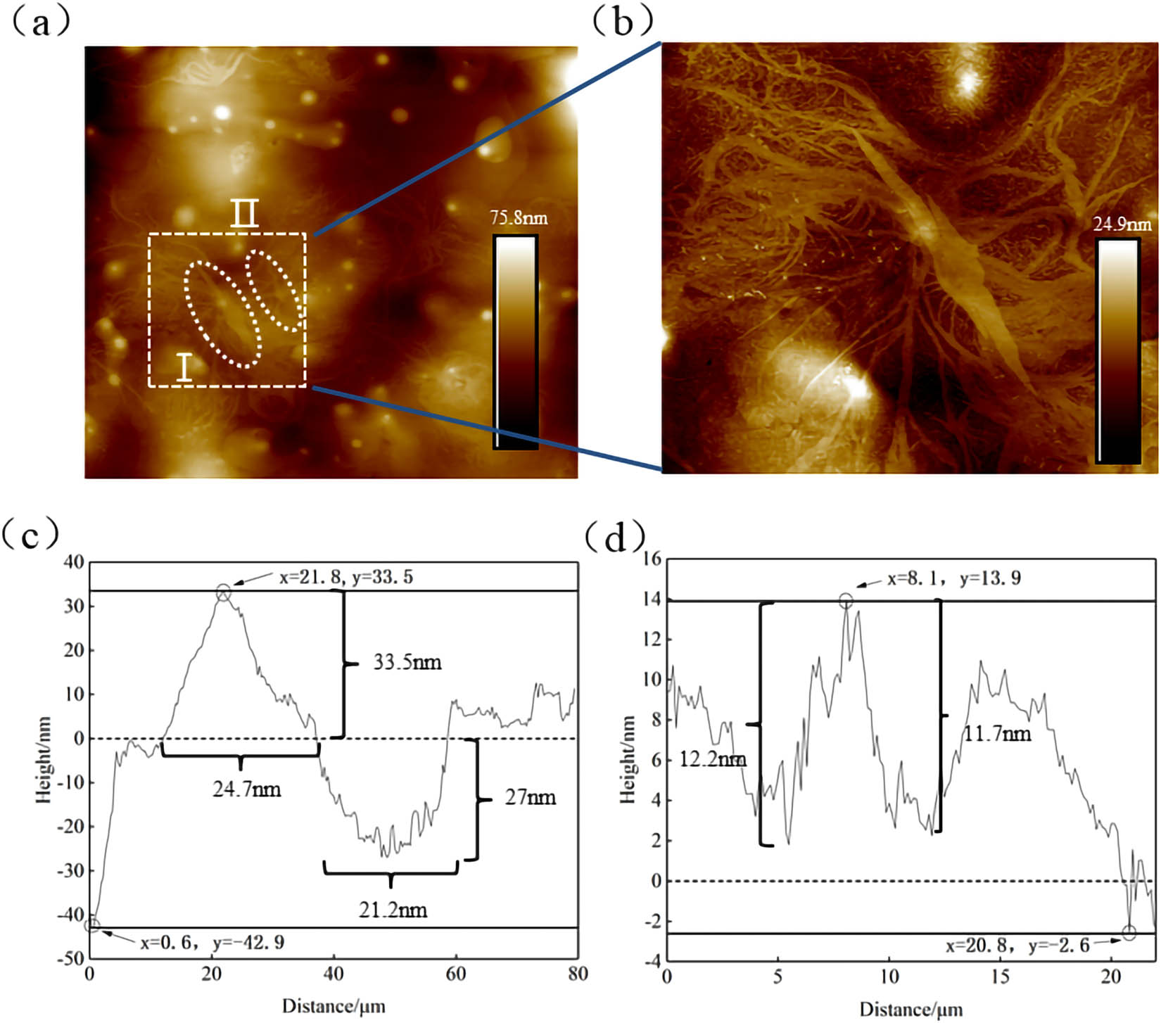 Figure 26 
                     Morphology and roughness analysis results of dendritic structure: (a) scanning zone; (b) selected dendritic structure; (c) dendritic structure I; and (d) dendritic structure II.
                  