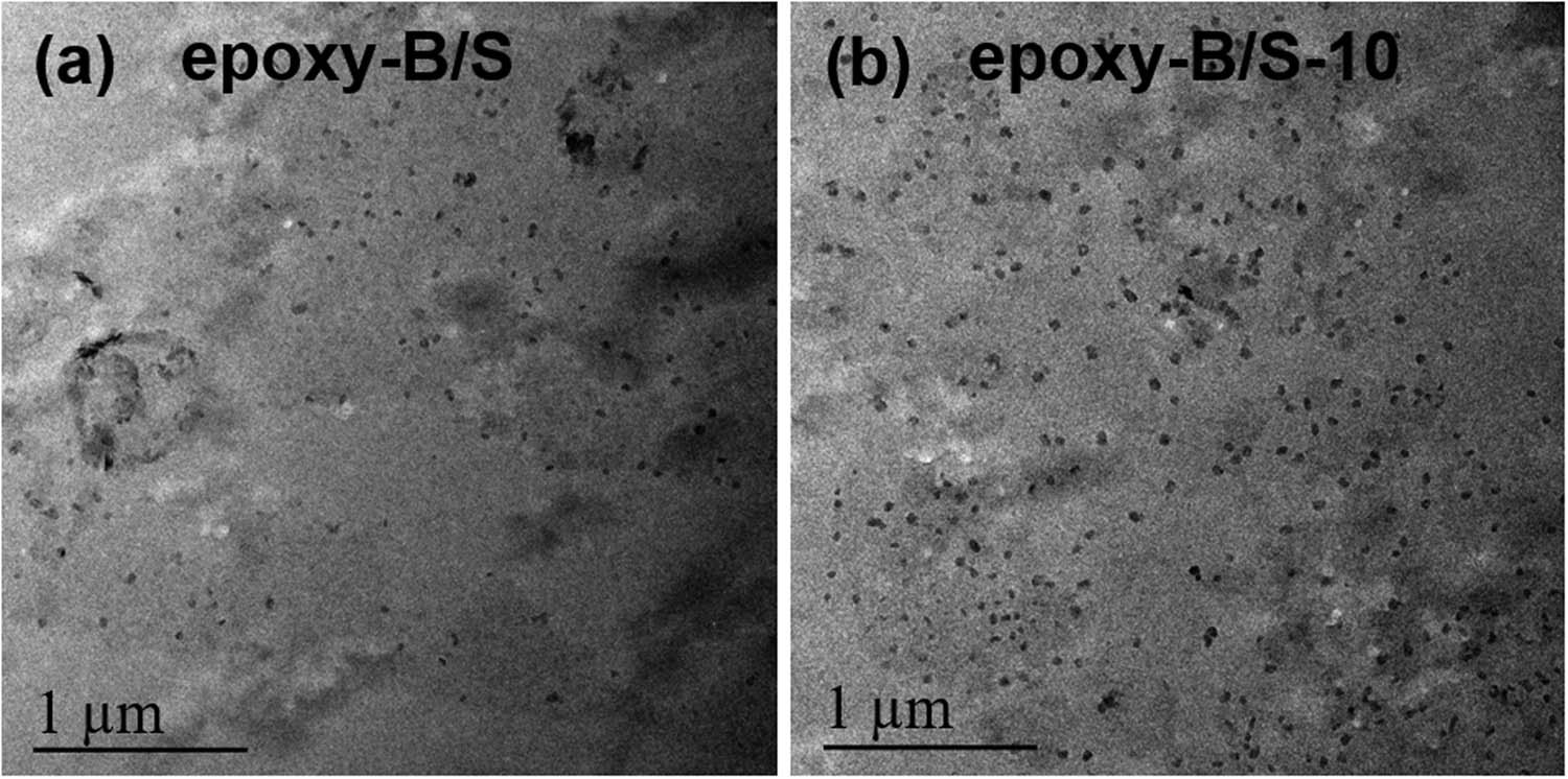 Figure 9
TEM observation of unmodified and GMA-modified B/S particles dispersed in the cured epoxy resin. (a) epoxy-B/S and (b) epoxy-B/S-10.
