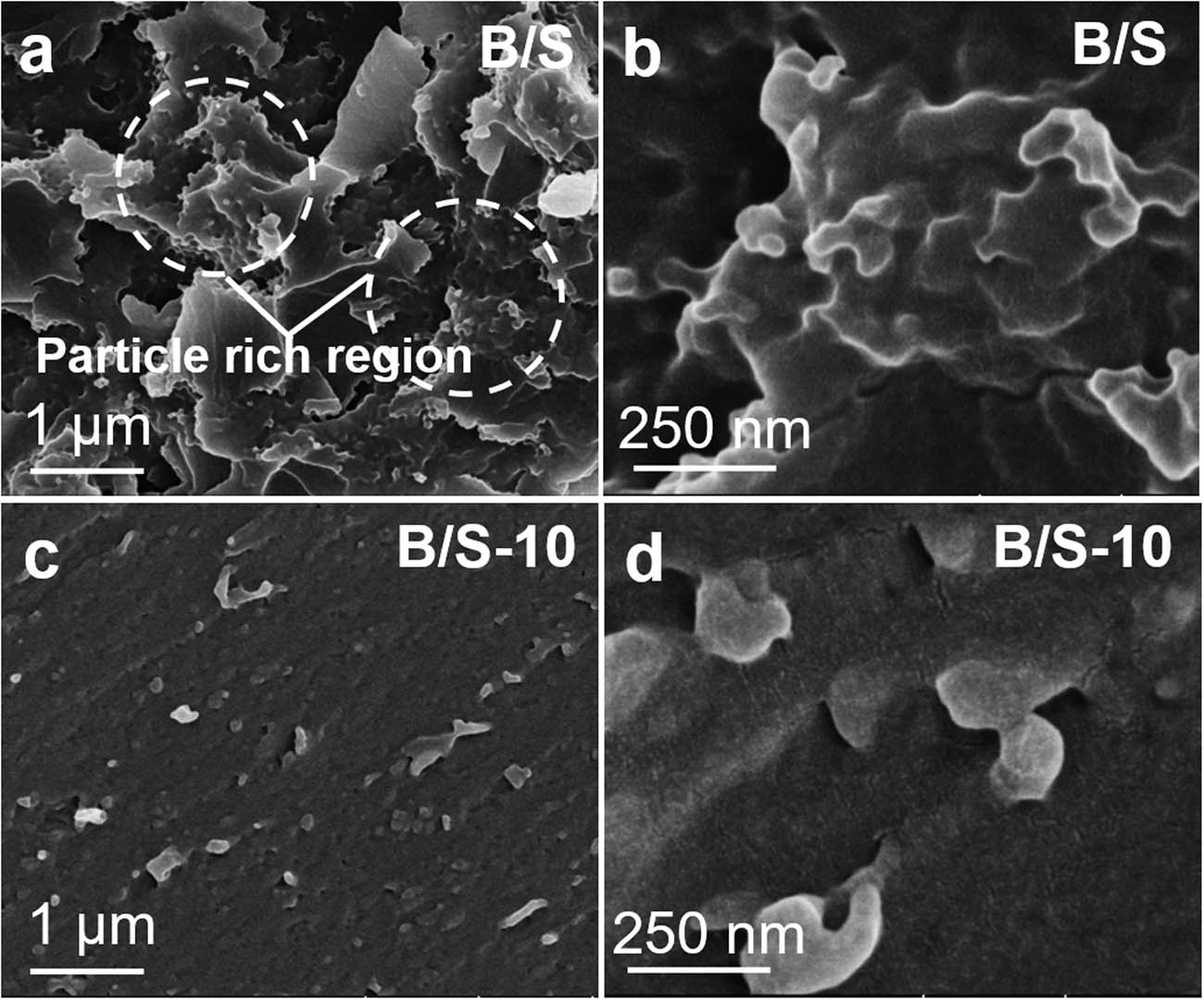Figure 10
SEM micrographs of fracture surfaces of cured epoxy-B/S (a and b) and epoxy-B/S-10 (c and d) composites after tensile tests.