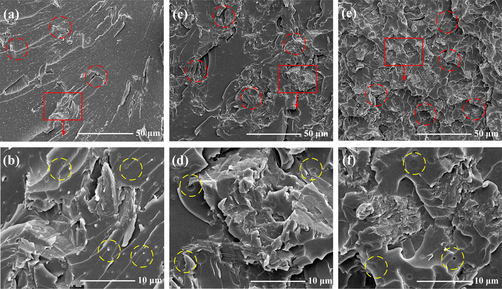 Figure 3 
                  SEM micrographs of the GO/PVB/EP coating specimens. (a) and (b) 0.38 wt% of GO content; (c) and (d) 0.635 wt% of GO content; (e) and (f) 0.89 wt% of GO content.
               