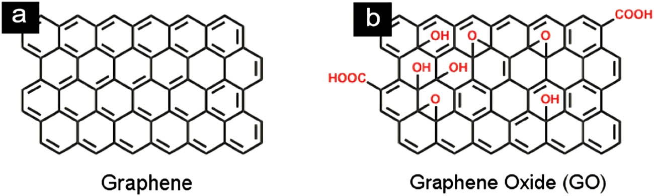 Figure 2 
               Representation of (a) grapheme and (b) graphene oxide (GO) [3].
            
