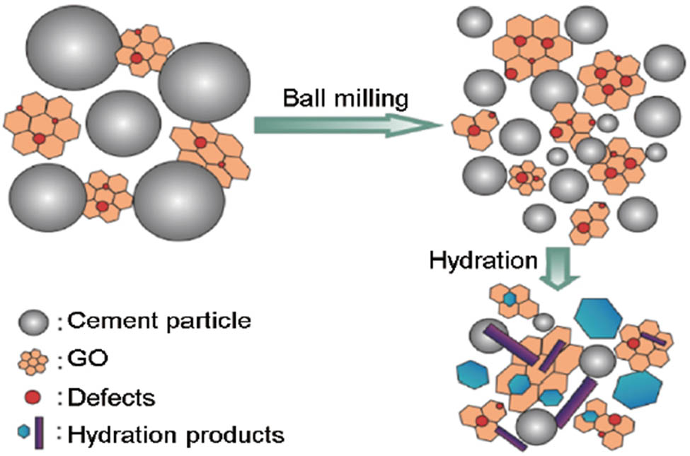 Figure 6 
                  Schematic illustration of reinforced cement paste [55].
               