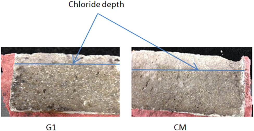 Figure 17 
                  Chloride front of the control mix comparison to GO mix [114].
               