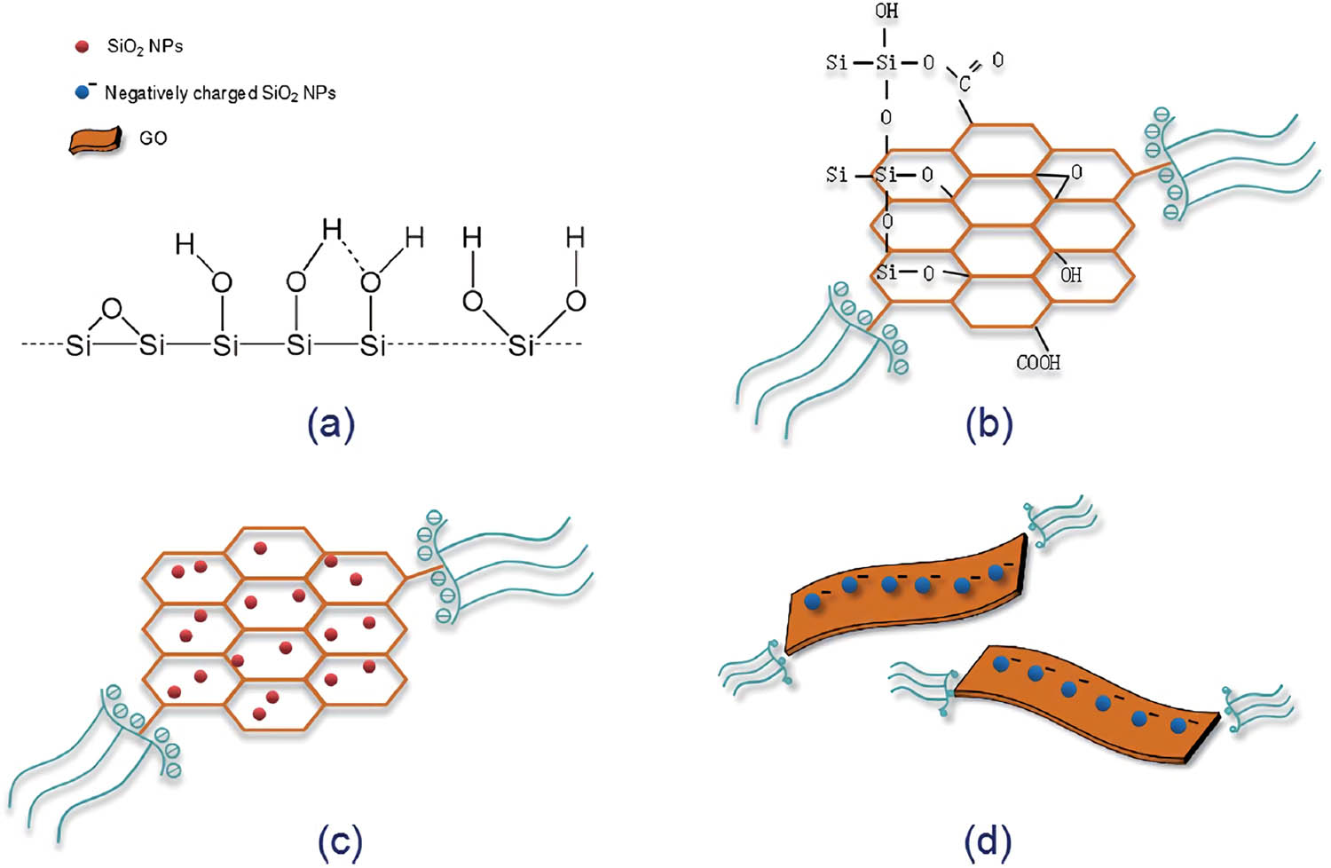 Figure 20 
                  Scheme showing the dispersion mechanism of SiO2NPs on GO surface: (a) the surface structure of SiO2NPs; (b) the covalent interaction between Si–OH and functional groups of GO nanosheets; (c) the uniformly dispersed SiO2NPs on GO nanosheets and (d) the electrostatic repulsion between GO nanosheets covered with negatively charged SiO2NPs [134].
               