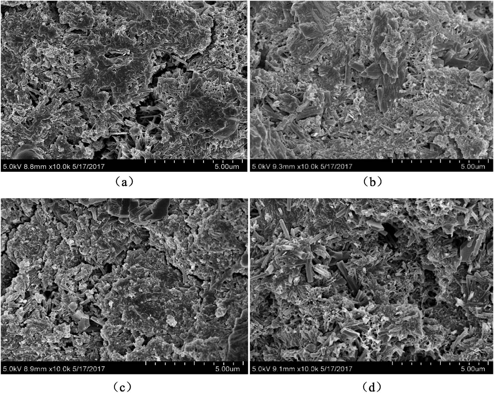 Figure 22 
                  Fractured surface morphology of four kinds of hardened cement pastes [133]: (a) blank constant, (b) graphene oxide cement, (c) nano-silica cement, and (d) hybrid nano-materials cement.
               