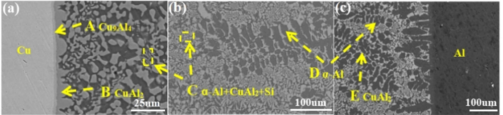 Figure 2 
                  Scanning electron microscope image of the brazing joint of BAl88Si filler metal: (a) microstructure of the brazing joint interface on the copper side, (b) microstructure of brazing seam, and (c) microstructure of the brazed joint interface on the aluminum side.
               