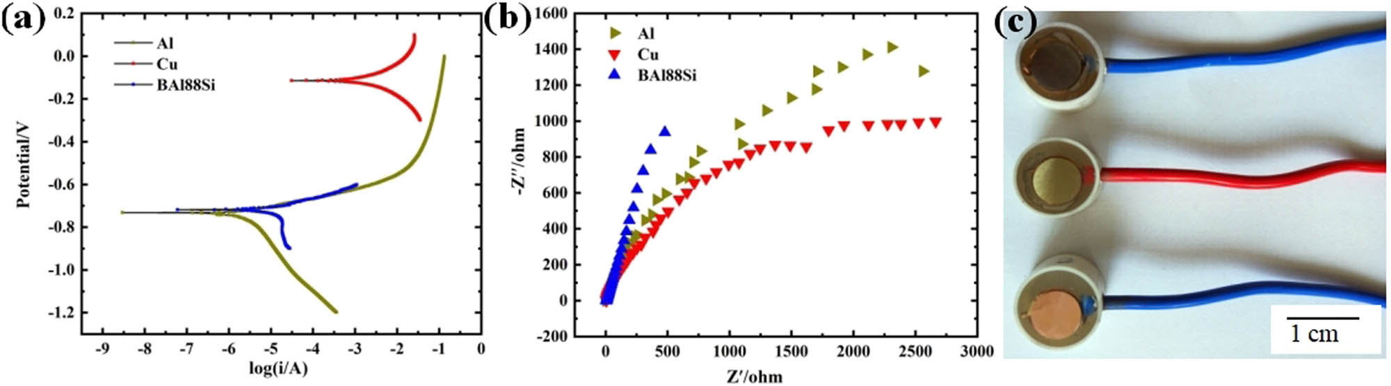 Figure 10 
                  Image of electrochemical results: (a) Tafel polarization curves of the solder and base metal; (b) electrochemical impedance spectroscopy of the solder and base metal, and (c) diagram of samples for electrochemical tests.
               