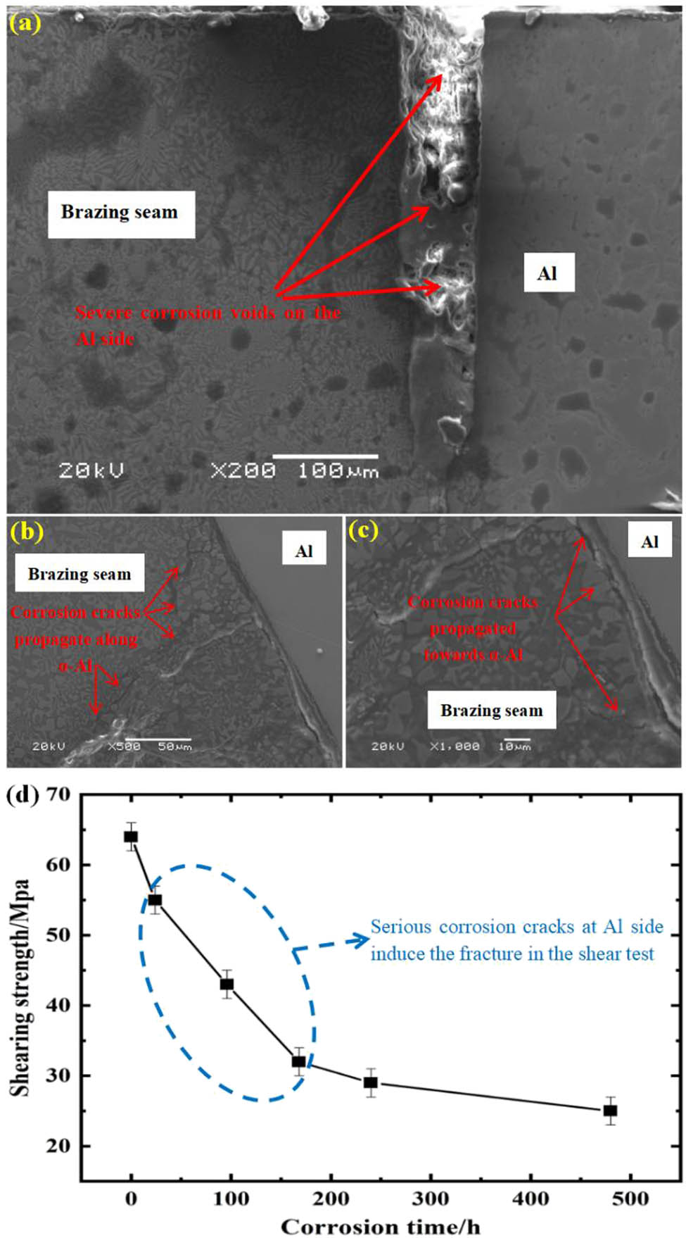 Figure 11 
                  (a) Typical microstructure of brazing seam after salt spray test, (b) microstructure of corrosion crack propagation in the Brazed joint, (c) enlarged image of (b), and (d) shearing strength of joints brazed after salt spray tests.
               