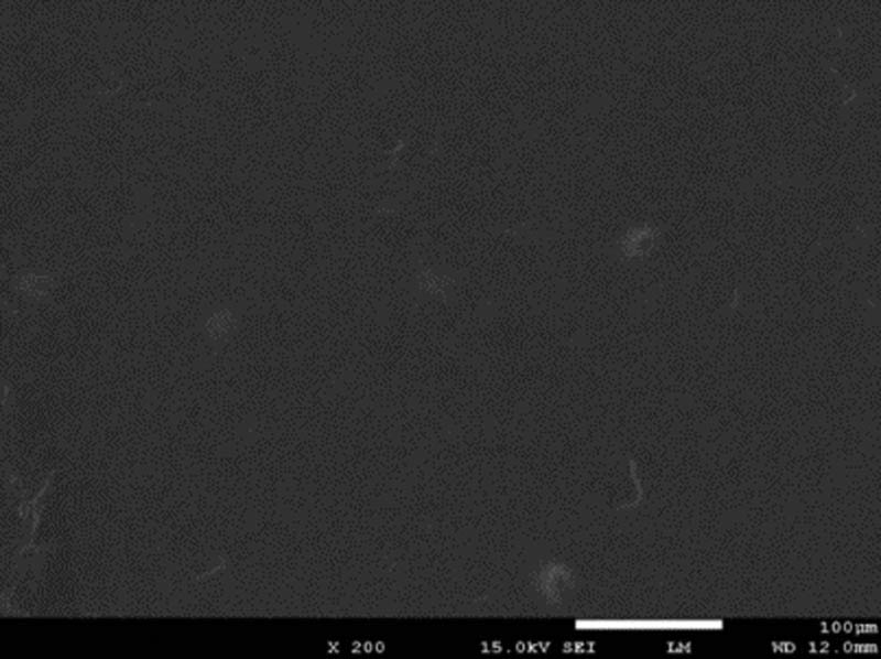 Figure 4 
                     Image of matrix asphalt.
                  